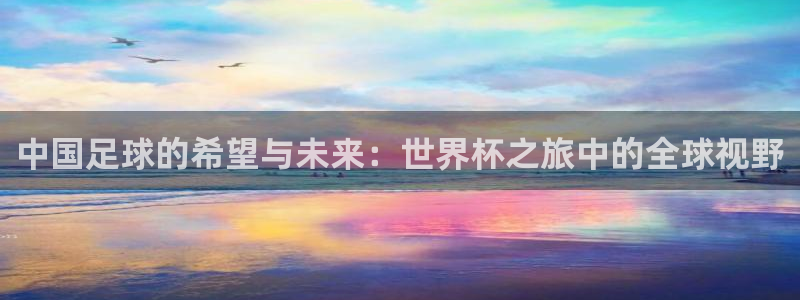 国际足联世界杯：中国足球的希望与未来：世界杯之旅中的全球视野