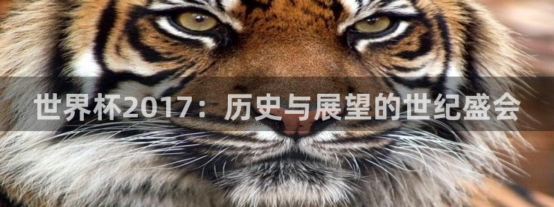 世界杯赛程表：世界杯2017：历史与展望的世纪盛会