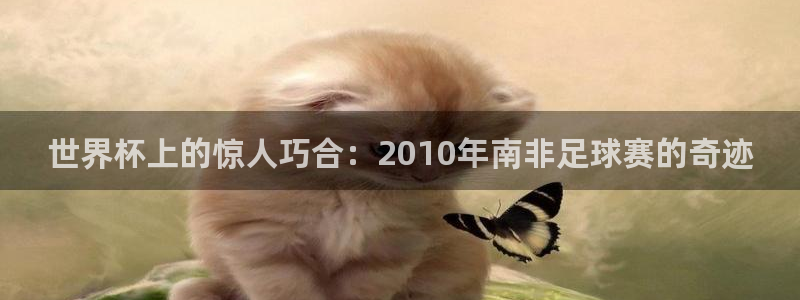 世界杯16强赛程表：世界杯上的惊人巧合：2010年南非足球赛的奇迹