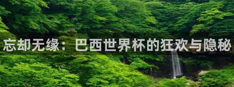 亚洲区世界杯预选赛：忘却无缘：巴西世界杯的狂欢与隐秘