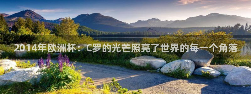 2026世界杯德国队阵容：2014年欧洲杯：C罗的光芒照亮了世界的每一个角落