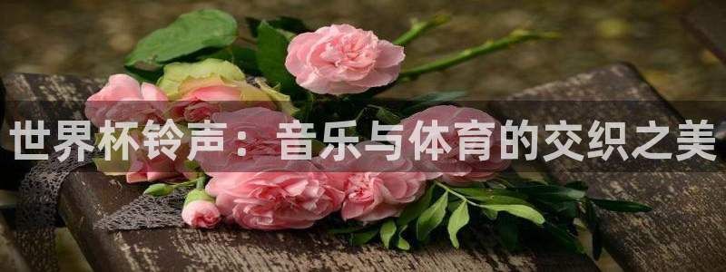 女足世界杯直播在线观看免费高清：世界杯铃声：音乐与体育的交织之美