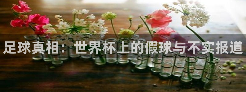 2026足球世界杯赛程：足球真相：世界杯上的假球与不实报道