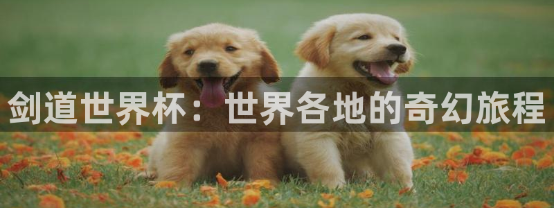 世界杯直播网：剑道世界杯：世界各地的奇幻旅程