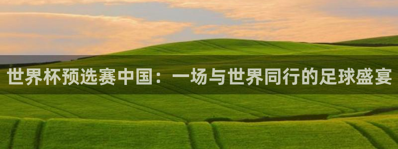 美洲杯直播：世界杯预选赛中国：一场与世界同行的足球盛宴