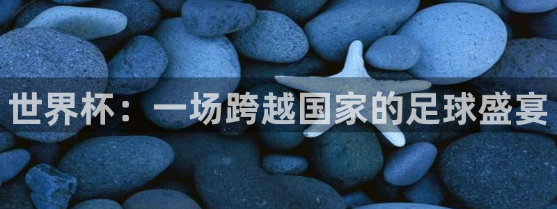 世界杯直播网：世界杯：一场跨越国家的足球盛宴