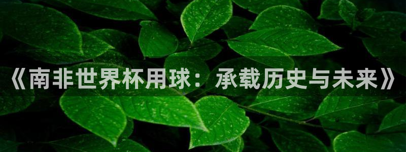 世界杯比赛时间：《南非世界杯用球：承载历史与未来》